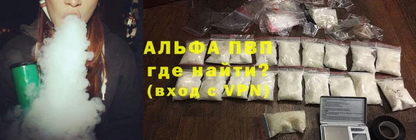 ПСИЛОЦИБИНОВЫЕ ГРИБЫ Покров