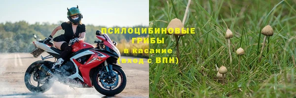 ешки Переславль-Залесский