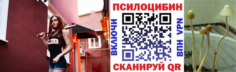 ссылка на мегу ссылка  хочу   Арск  Псилоцибиновые грибы Psilocybine cubensis 